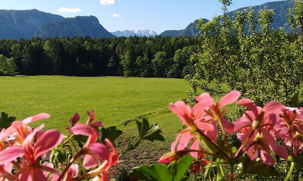 Gaestehaus Restner - Chiemgau Karte Inzell Dış mekan fotoğraf