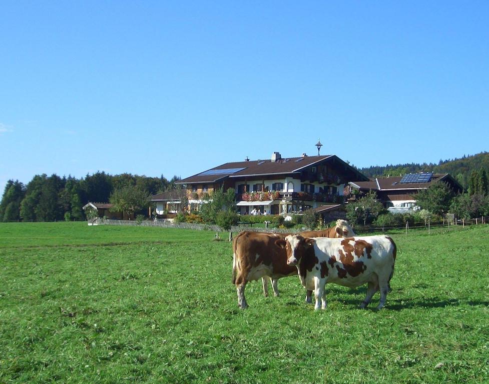 Gaestehaus Restner - Chiemgau Karte Inzell Oda fotoğraf